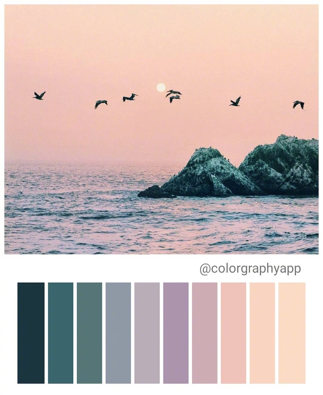 这都什么美好的颜色!这么甜