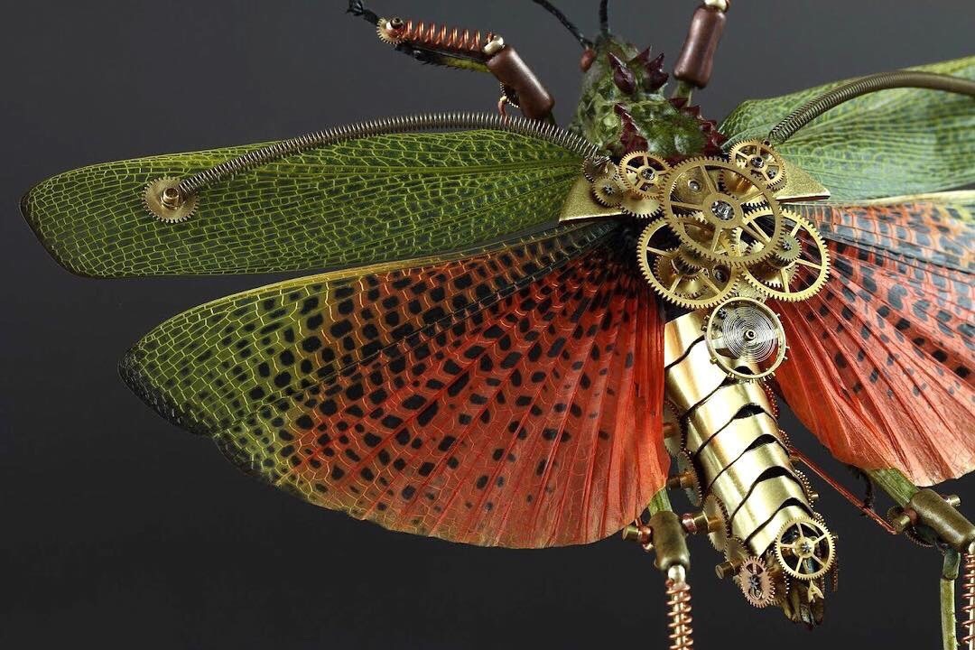 机械雕塑 | ins:gaby_wormann