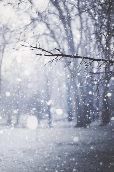 心理测试:测你的真爱出现了吗!你最想在哪片雪景里散步?