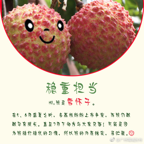 增城荔枝之雪怀子