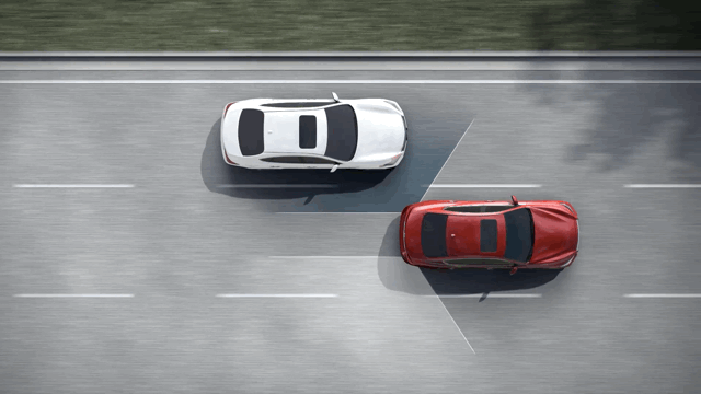 莫干山里飞奔的泰迪,拜倒在英菲尼迪qx50的车轮之下-新浪汽车