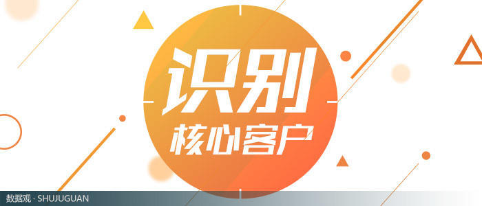 数据可视化-如何简单,高效地识别出核心客户