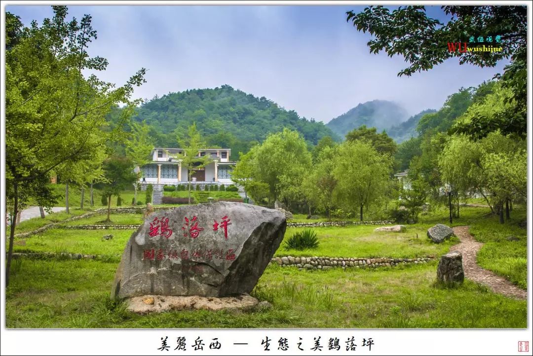岳西鹞落坪——人间十里画廊