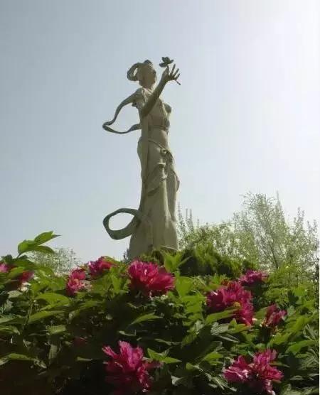 这里除了牡丹观赏区,还有牡丹文化区,大型游乐区,动物园区及历史文化