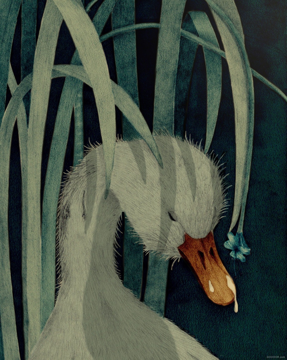 安静的柔软对比色插画作品