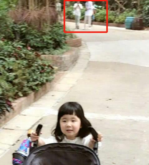 小亮仔坐天天妹妹婴儿车,还让妹妹推着走,网友笑问拿错剧本了?