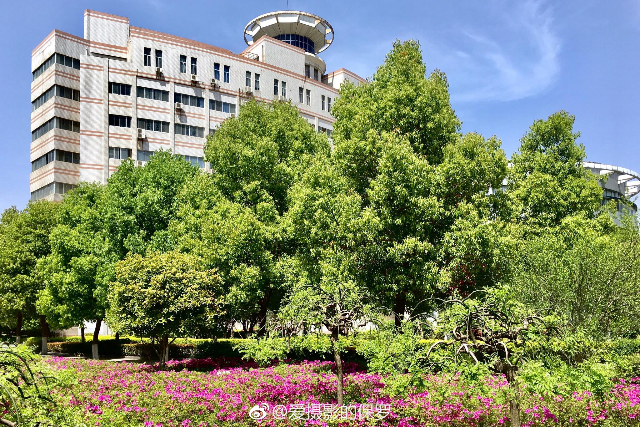 小景摄影·阳光 校园