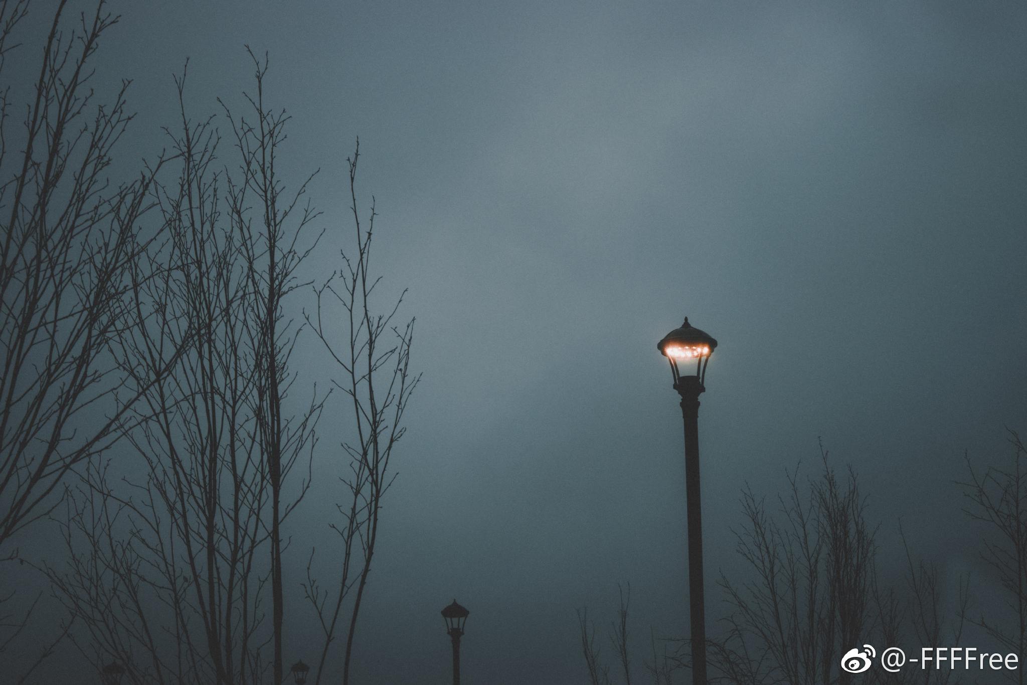 雾林 孤独主题 路灯 昏暗 车灯 朦胧高清可私戳 or f
