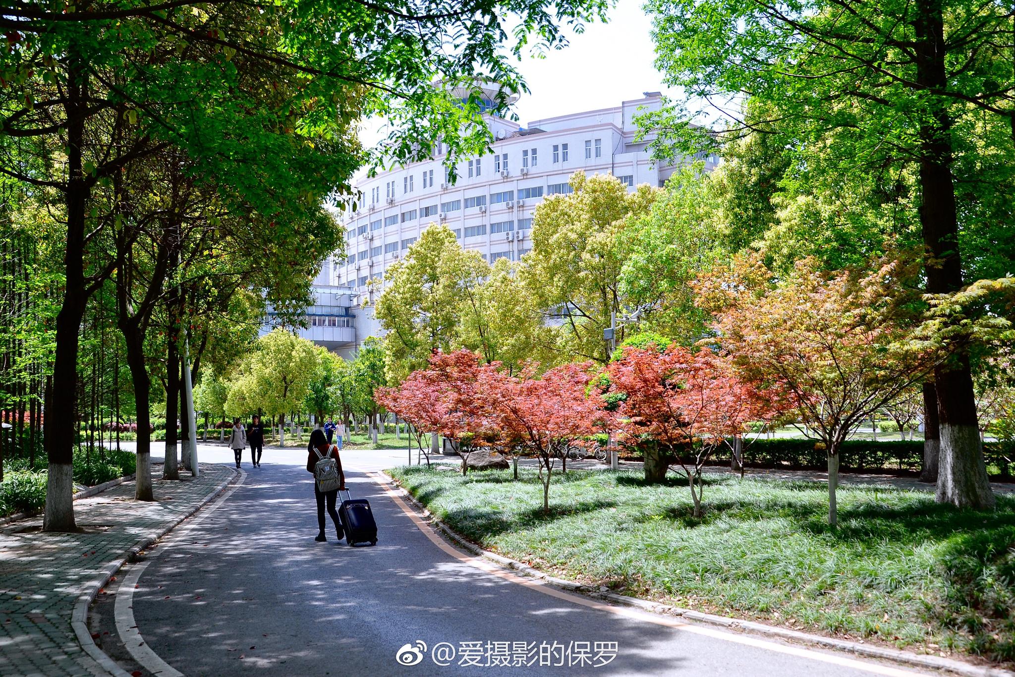 小景摄影·阳光 校园