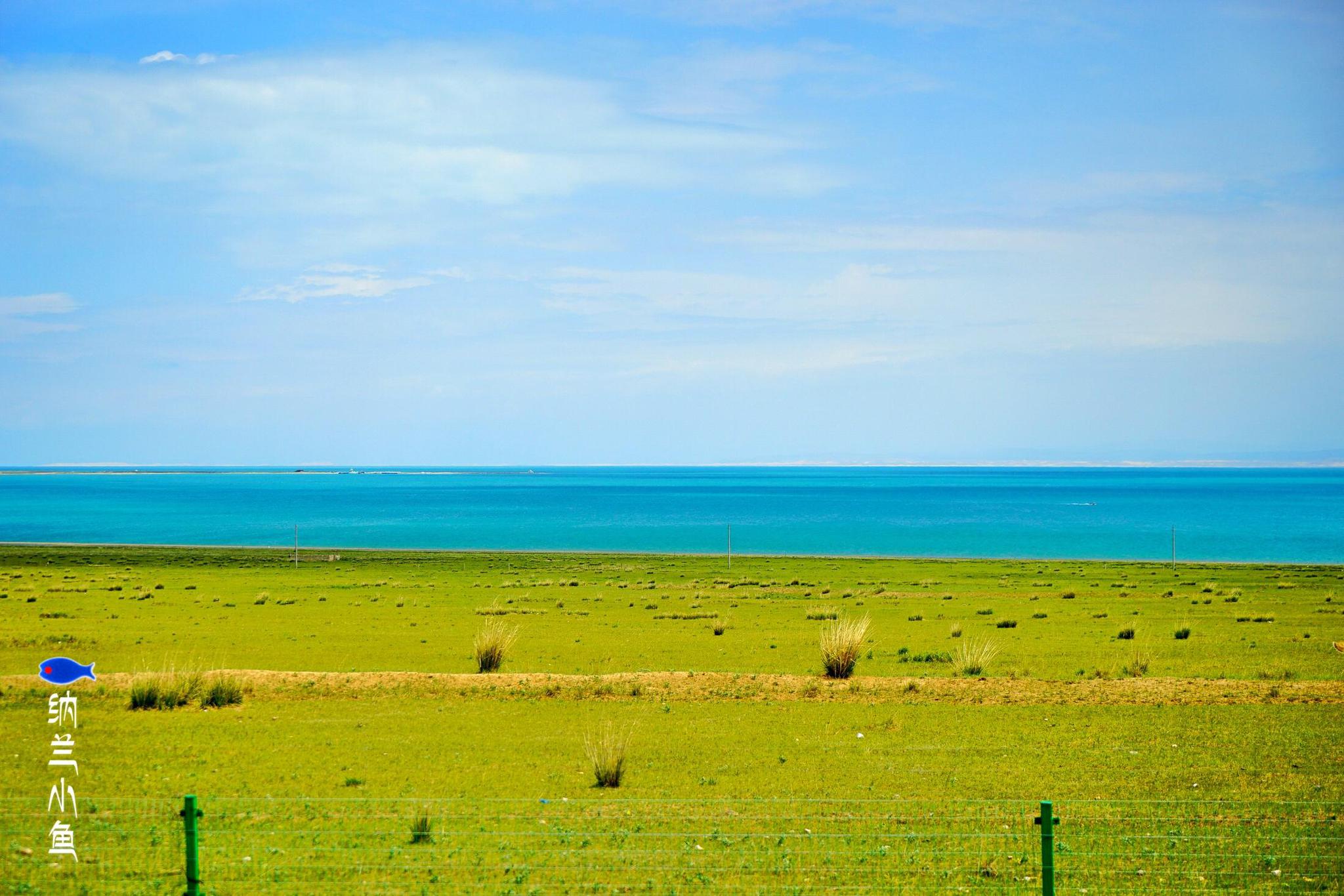 青海湖面积创近44年来最大值 连年"扩容"原因何在?是喜还是忧