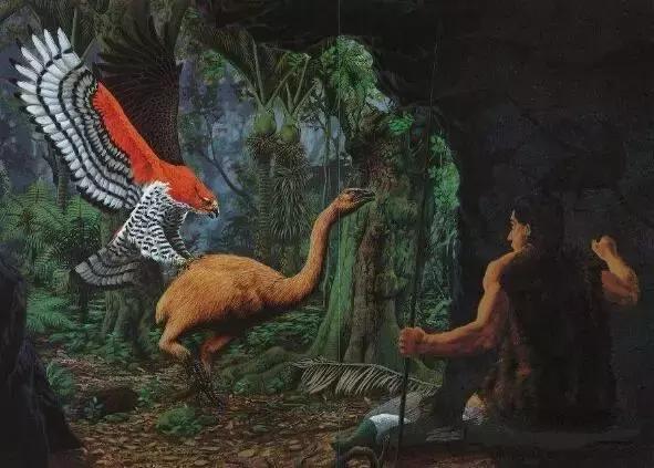 史上最大的老鹰,专吃恐鸟的哈斯特鹰!