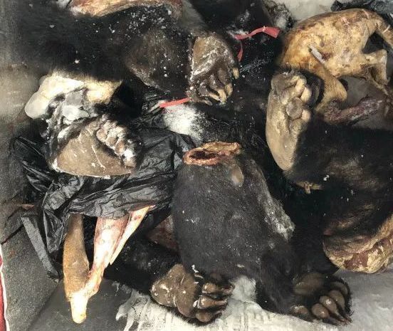 你永远无法触摸的世界中缅边境怪相看完整个人都不淡定了