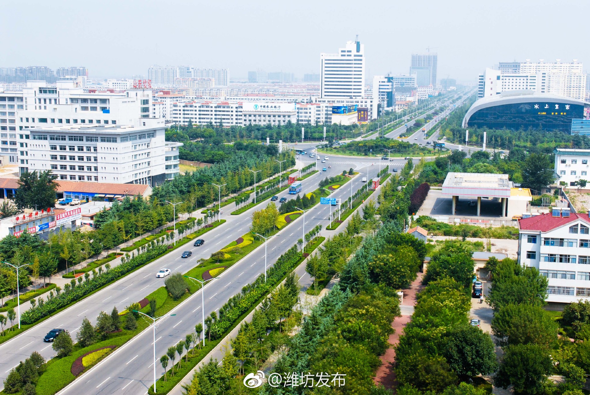 北海路是潍坊的迎宾大道,市区段更是市区道路绿化的样板路.