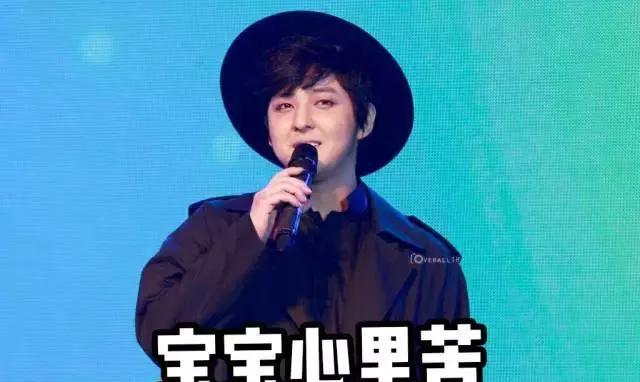 这个韩国女星为新剧增胖16斤撞脸鸟叔真的是一胖毁所有吗