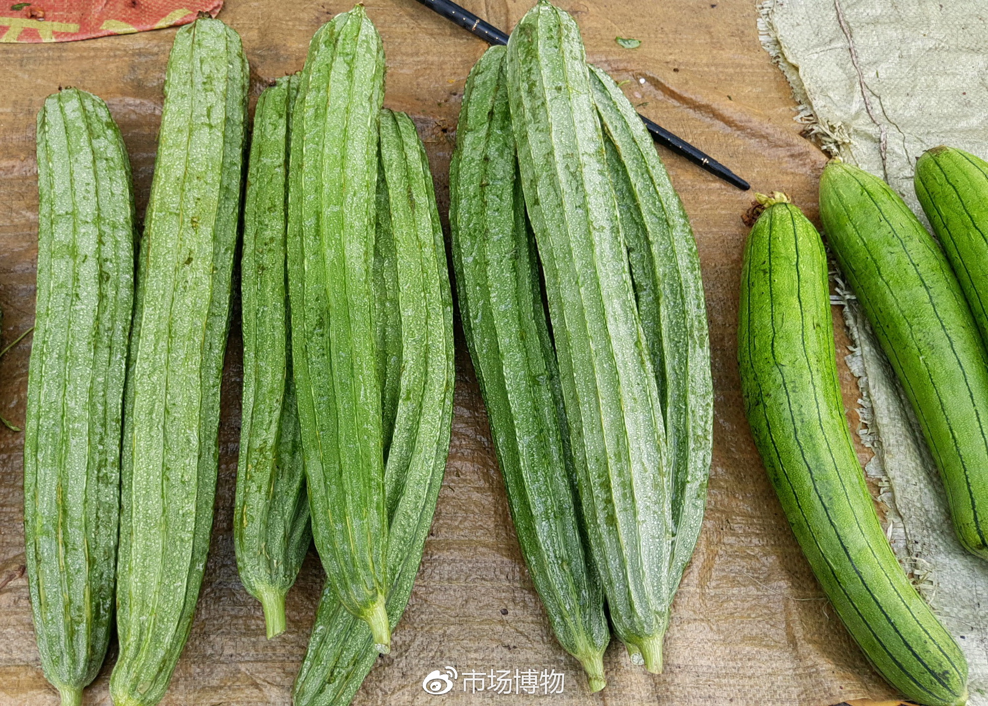 粤菜里胜瓜广东丝瓜和水瓜圆丝瓜地位不可相提并论