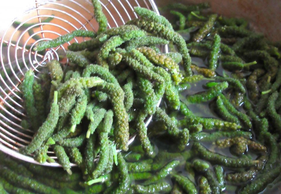 教你一招楮不揪更好吃的做法,一口一个又脆又香,大厨都这么做