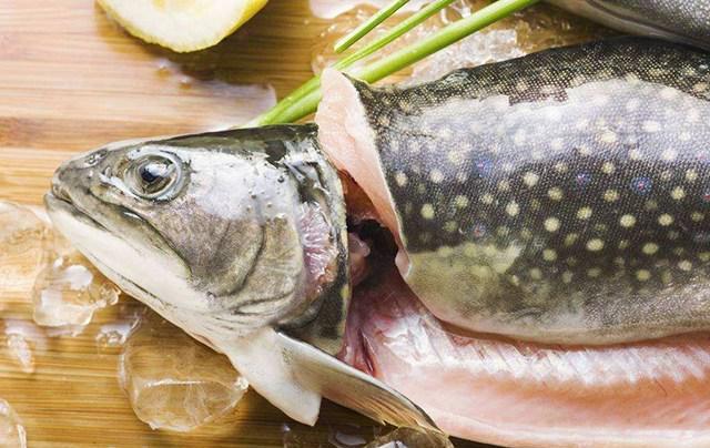 什么鱼都能生吃?看看生吃鱼的鼻祖日本人的选择吧!