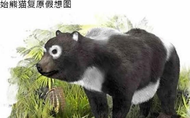 为何一代战神"食铁兽",沦落为卖萌为生