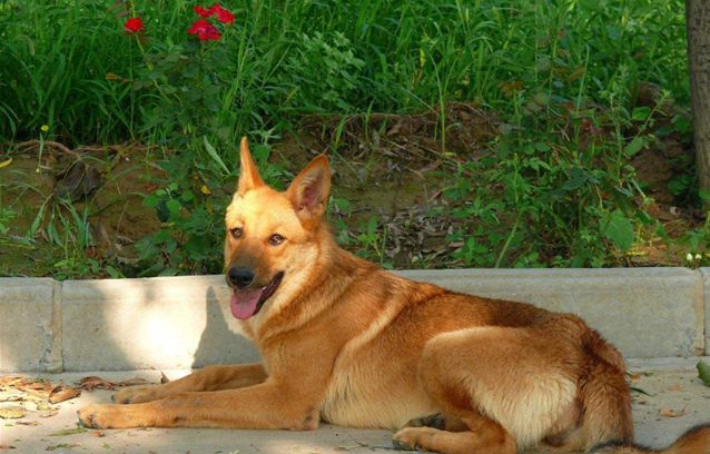 王大娘晚年才生了一个宝贝女儿,虽然是高龄孕妇生孩子有风险,但是王