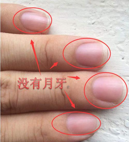 手指上的月牙代表什么图片