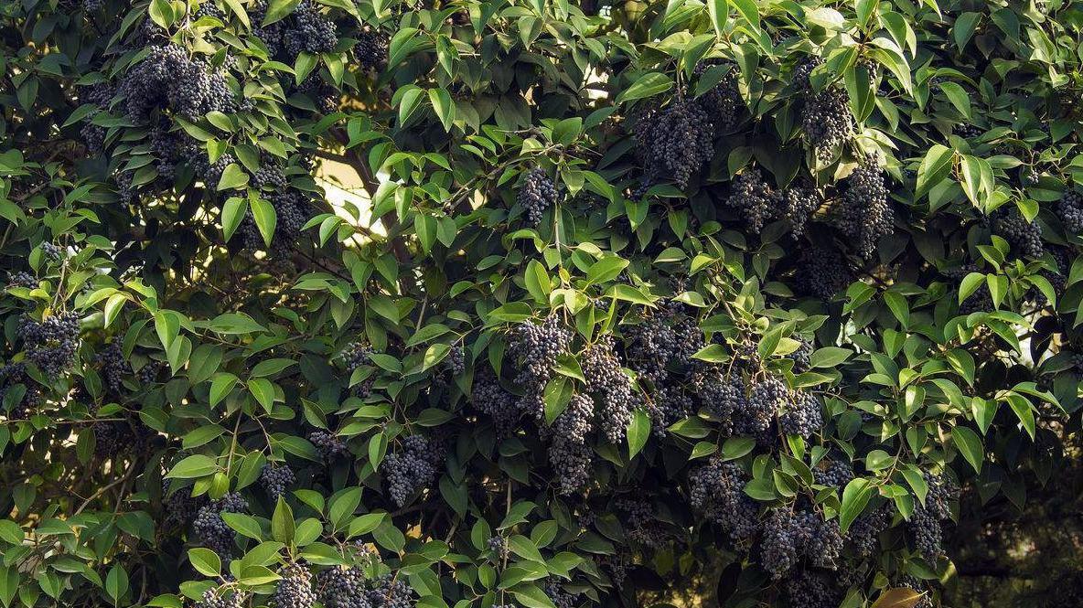 "马行无力皆因瘦,人不风流都为贫",这句老话道出了现实!