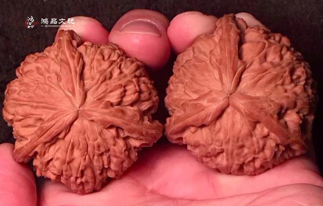 精品白狮子三棱核桃,大厚边,太难得了