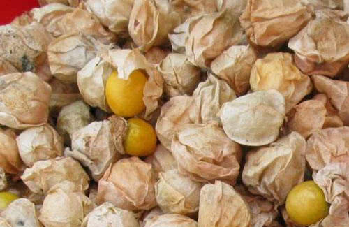 这果子50元一公斤,认识的人非常少,吃过的也少|果实|黄色|一公斤_新浪