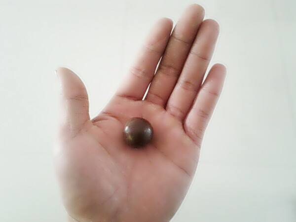 男子在老屋捡到白色石缸,道士说是龙宫水缸,能炼制长生不老丹药