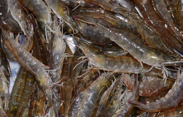 清水煮基围虾下锅用凉水还是开水原来做错了这步难怪腥味浓