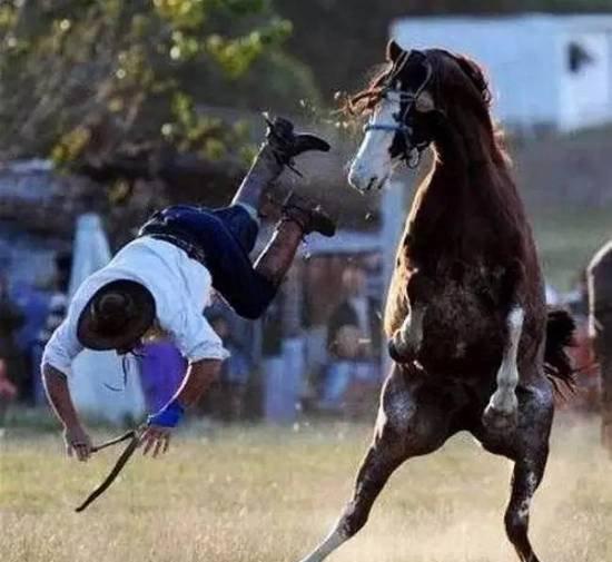 狗胆|扒光|前世今生_新浪新闻