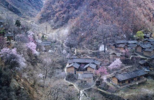 穿越千年古村落，遇见最美的甘肃张坝村！|张坝|古村落|甘肃_新浪新闻