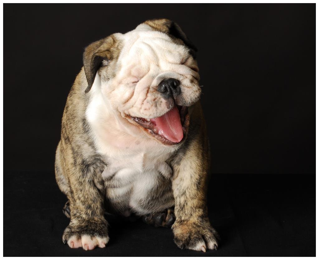 我不笑,皮笑肉不笑看起来很阴险!他们在干什么?