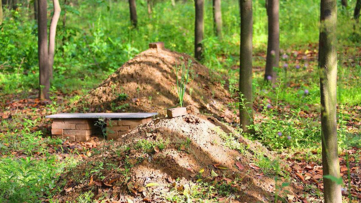 农民宁愿认罚也想土葬,专家说出这三点,戳中农民的心!
