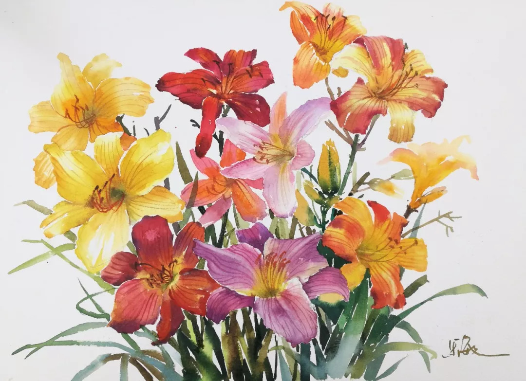 水彩教程花卉插画萱草