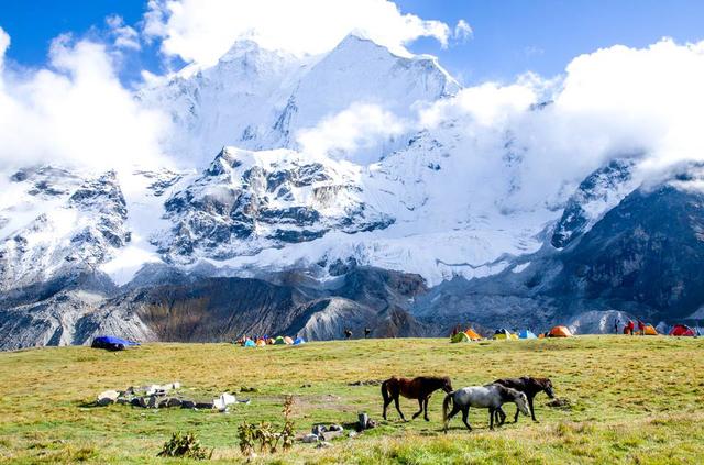 在这里有一个神秘的财神传说,在山间随处可见雉鹑,雪鸡,香獐等,清清的