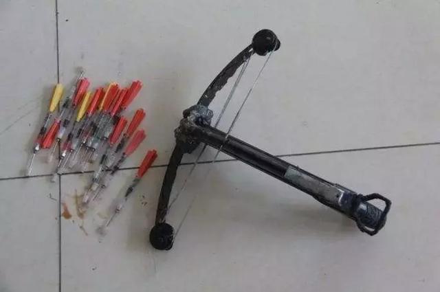 餐桌上的狗肉原来是这么来的,没有买卖就没有杀害|狗肉|毒针|偷狗贼