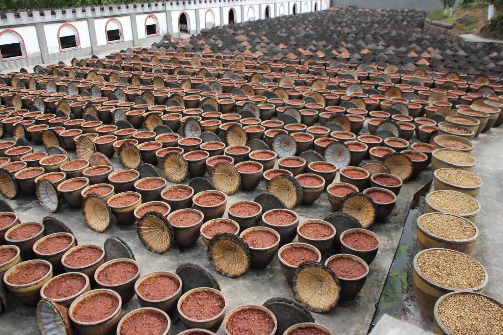 重庆5000个大酱缸酿造火锅底料 整齐排列场面壮观