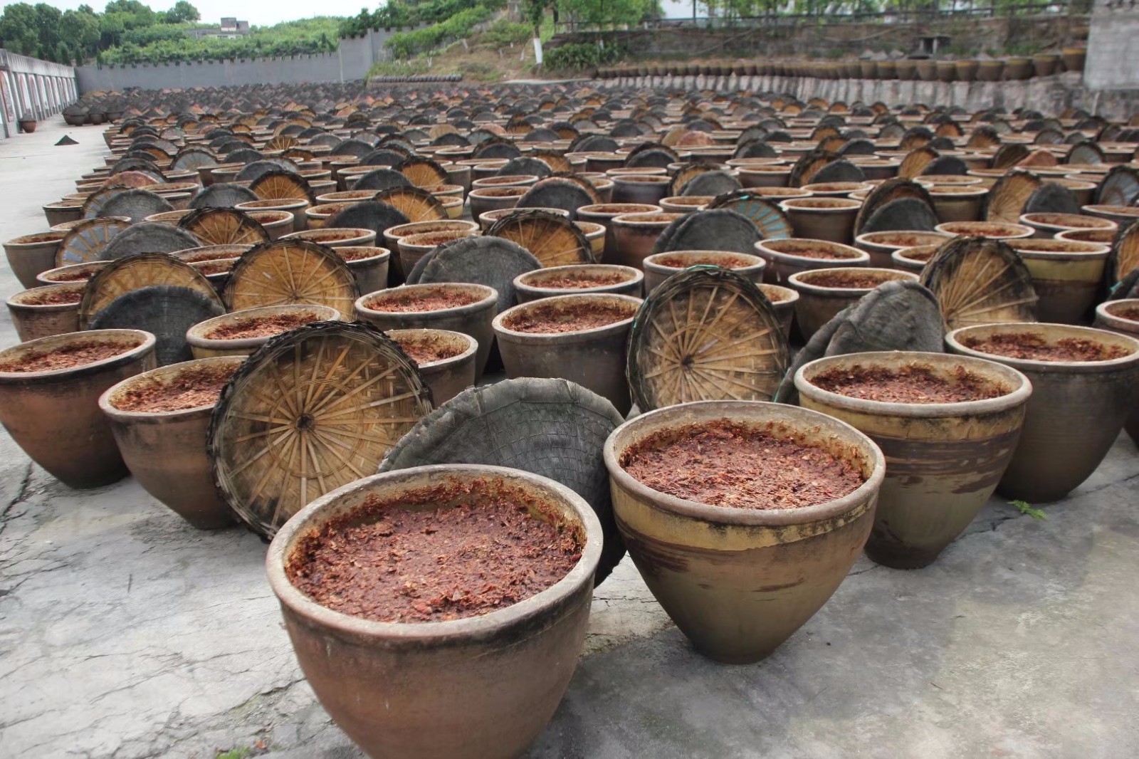 重庆5000个大酱缸酿造火锅底料整齐排列场面壮观