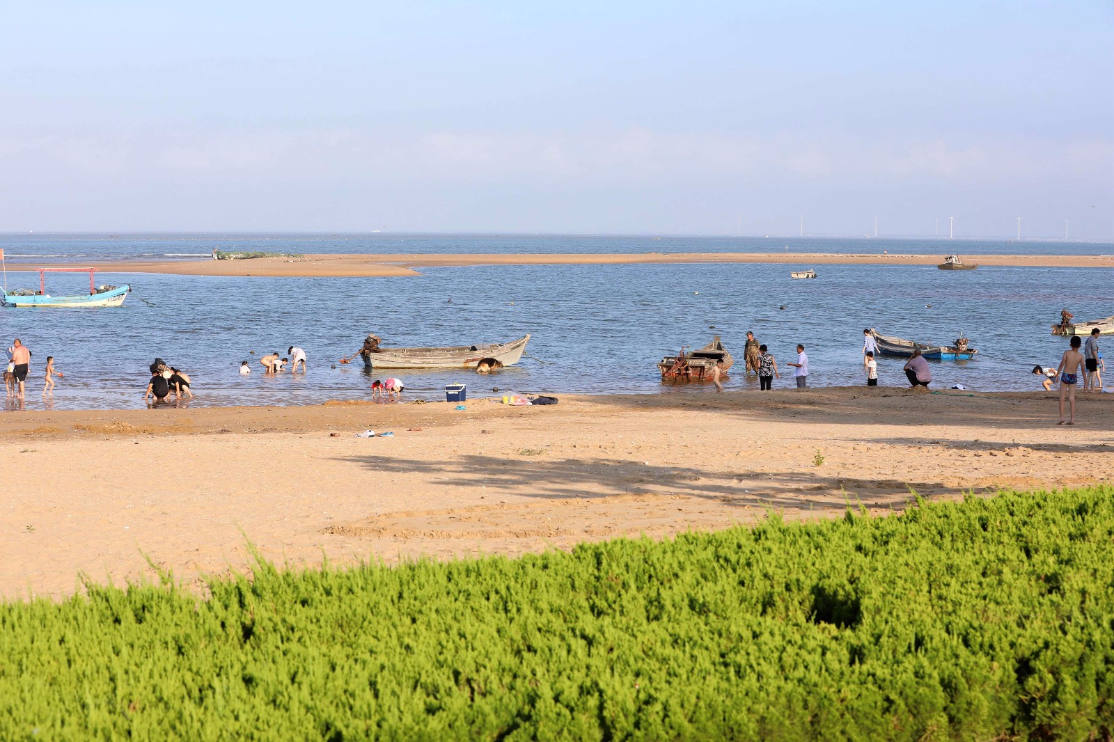 威海:赶海拾趣乐享夏日周末|滨海公园|赶海|荣成市_新浪新闻