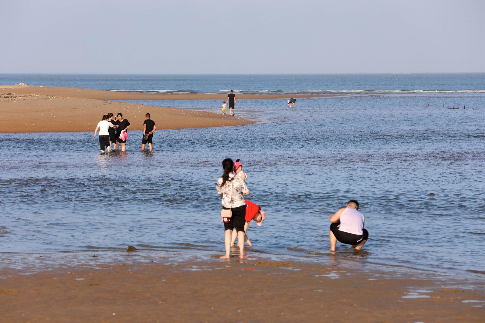 威海:赶海拾趣乐享夏日周末