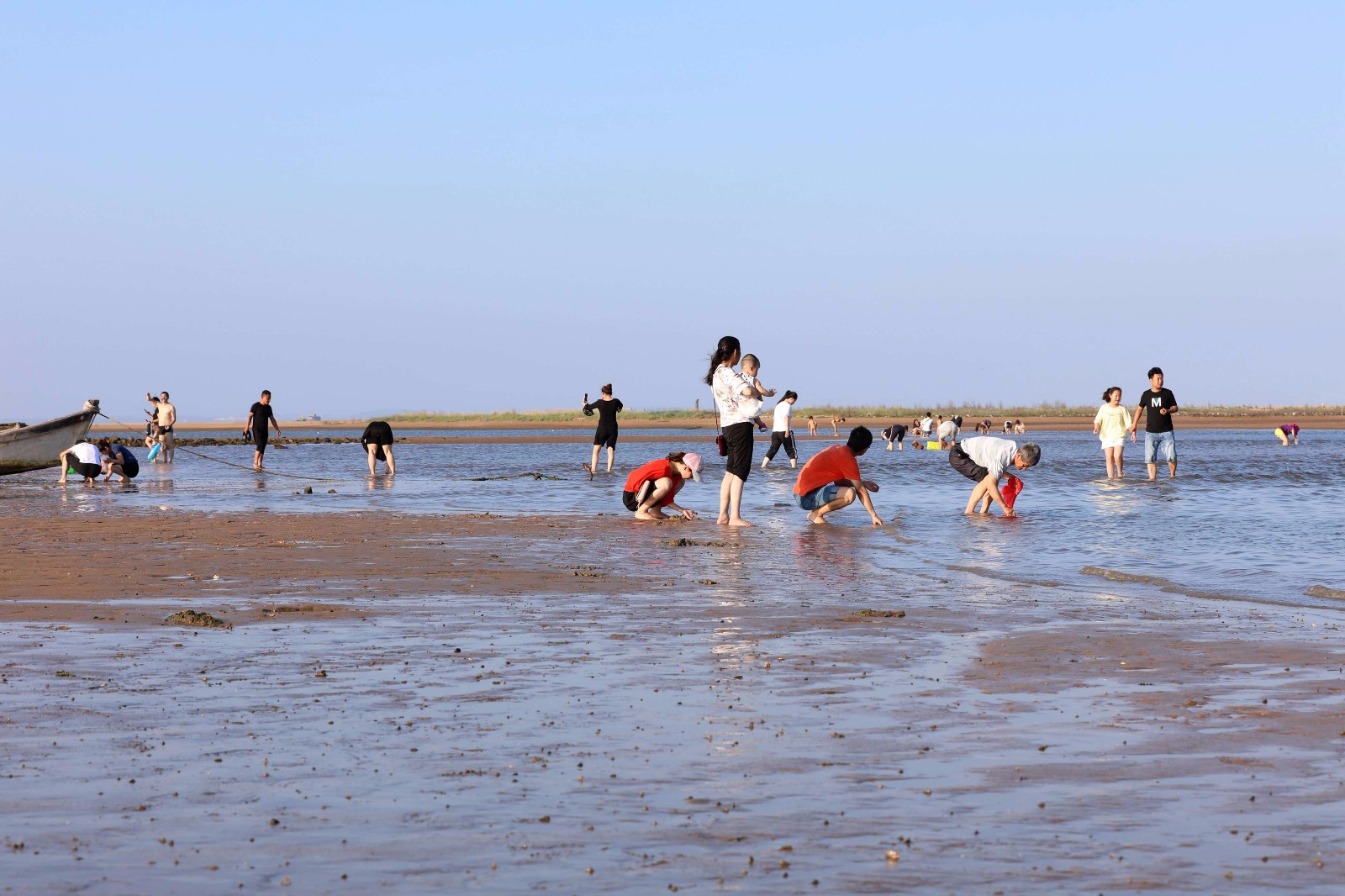 威海:赶海拾趣乐享夏日周末|滨海公园|赶海|荣成市_新浪新闻