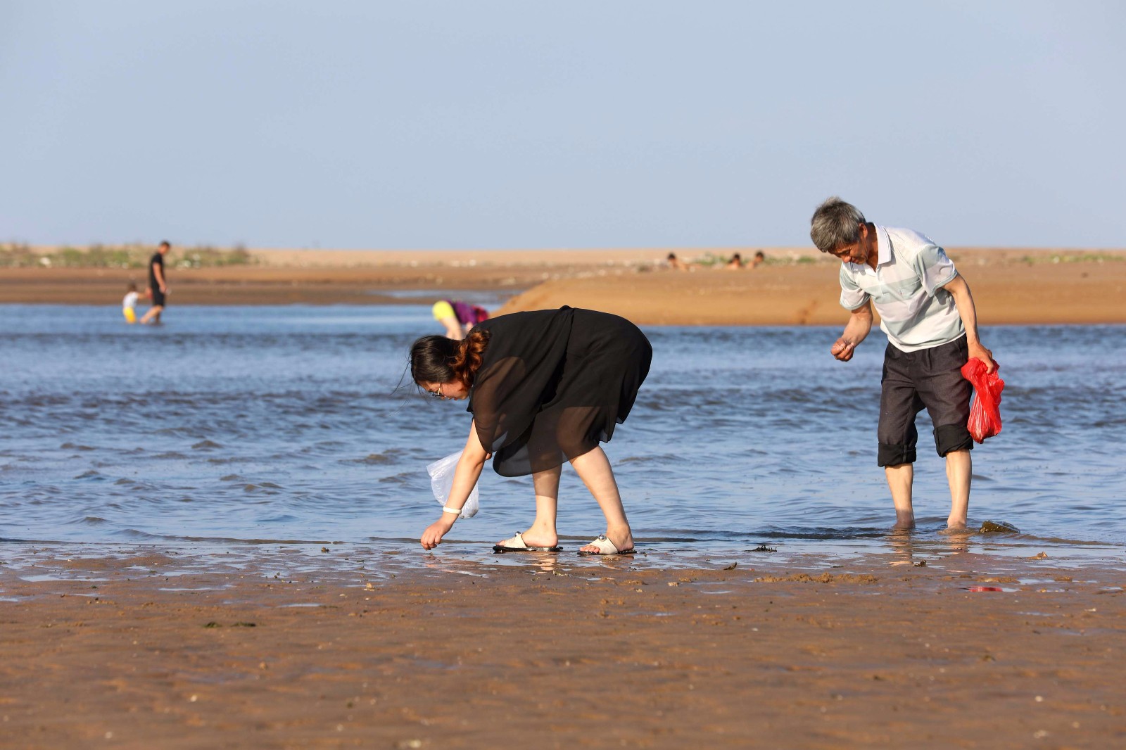 威海:赶海拾趣乐享夏日周末
