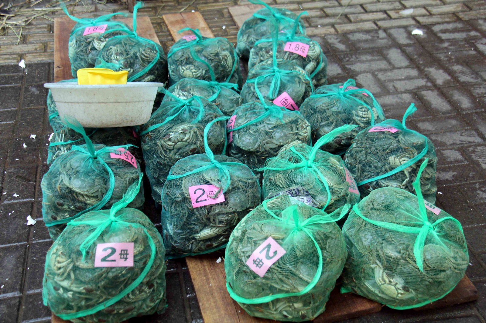 长江螃蟹大量上市价格下降不少,一只螃蟹最低只要4元钱!