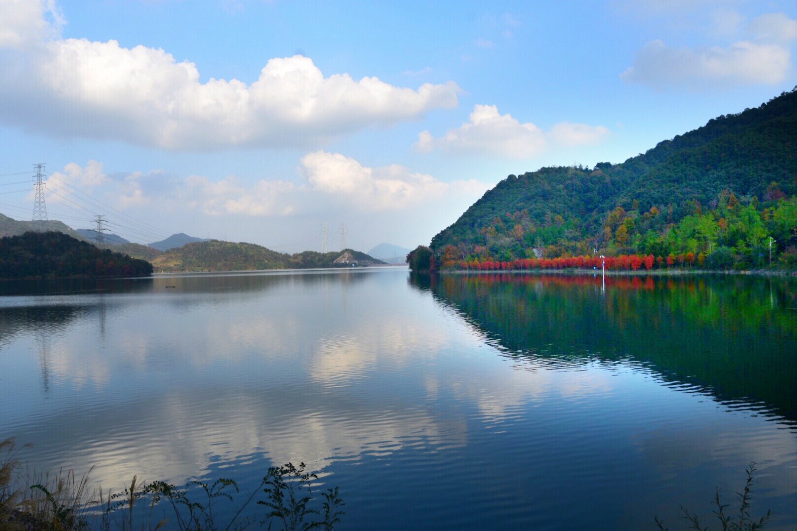 蓝天白云红水杉温岭太湖水库太美了(原创)