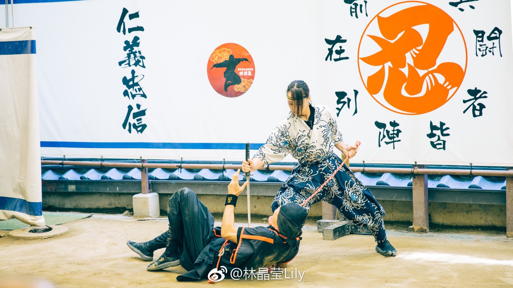 植物大战僵尸各版本下载指南 安卓iOS电脑版获取攻略