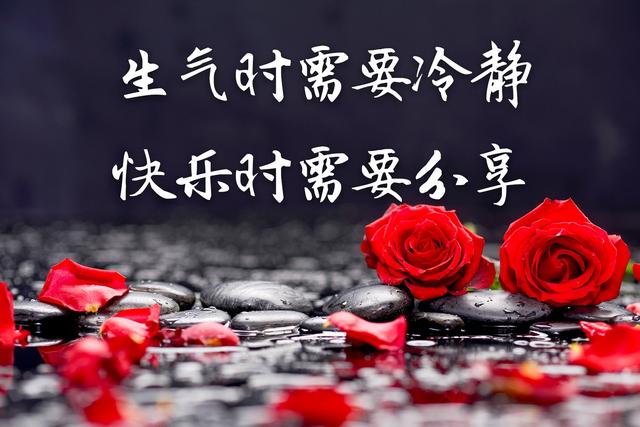 傻等多少回才知自己只是多余如今无情的人曾经最是深情