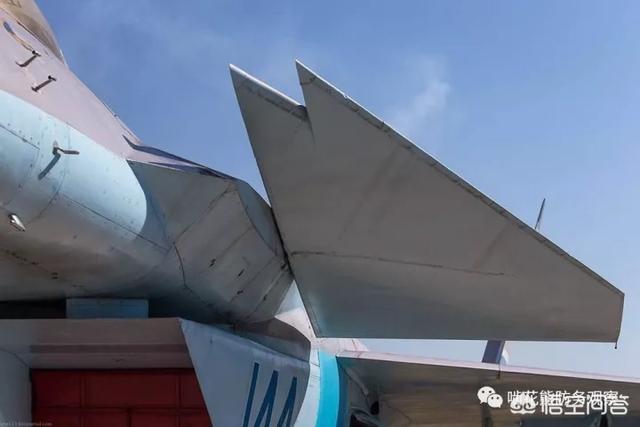 世界上有哪些战斗机用鸭翼布局?