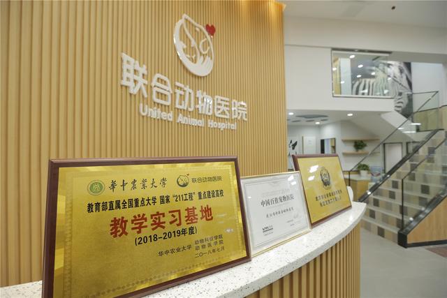 宠物诊疗界三甲医院来了武汉联合动物医院光谷诊疗中心开业