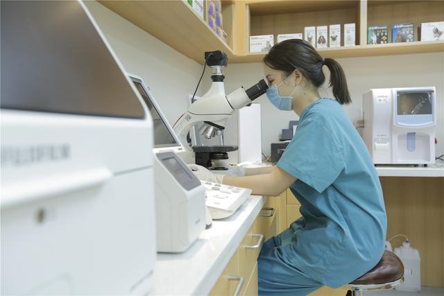 宠物诊疗界三甲医院来了武汉联合动物医院光谷诊疗中心开业