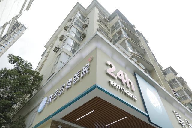 宠物诊疗界三甲医院来了武汉联合动物医院光谷诊疗中心开业